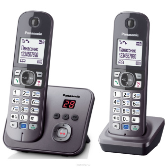 Радиотелефон Panasonic DECT KX-TG 6822 RUM (АОН, +доп.трубка, автоответчик, спикерфон, полифония, серый металлик)
