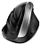 Мышь беспроводная Genius Vertical Ergonomic Silent Ergo 8250S Silver-Gray